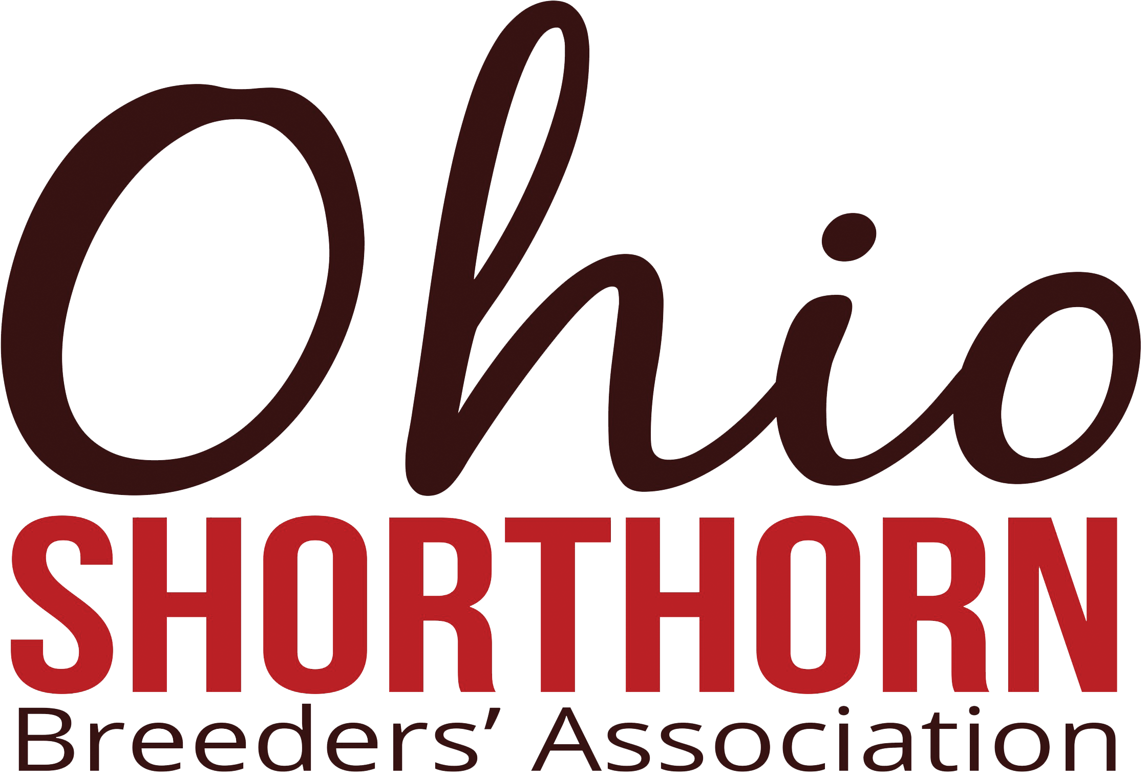 Ohio Shorthorn Logo