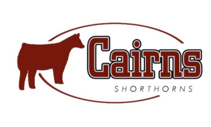 Cairns Shorthorns Logo