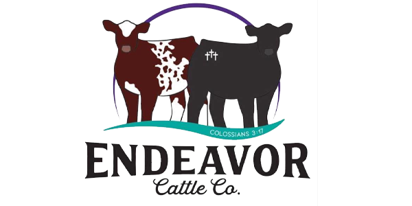 Endeavor Cattle Company Logo