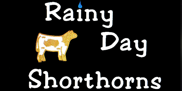 Rainy Day Shorthorn Logo
