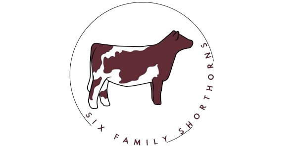 Six’s Shorthorns Logo