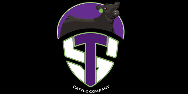 Tilton Shorthorns Logo